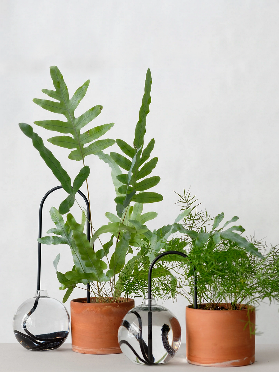 Plant Straws Small – plantstraws